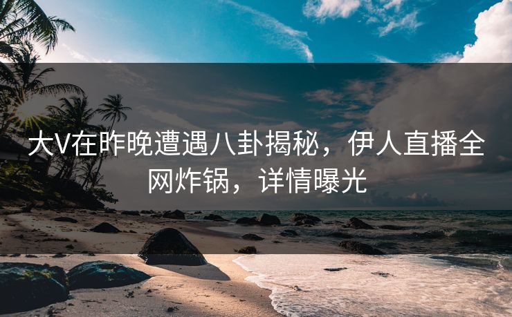 大V在昨晚遭遇八卦揭秘，伊人直播全网炸锅，详情曝光