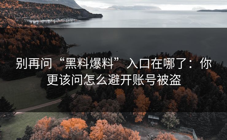 别再问“黑料爆料”入口在哪了：你更该问怎么避开账号被盗