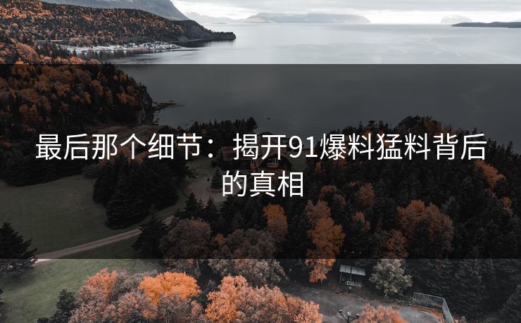 最后那个细节：揭开91爆料猛料背后的真相